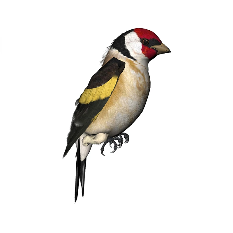 New Design for Tinsel Finches  - Tinsel Garland Decoration recension och pris